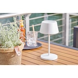 thumbnail of METRO Professional Set di 2 lampade LED da tavolo, alluminio / policarbonato, Ø 12 x 23.6 cm, connessione USB, touch control, dimmerabile, bianco