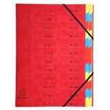 thumbnail of Lot de 8 Trieur agrafé Carte lustrée, 24 compartiments, coloris rouge