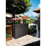 thumbnail of METRO PROFESSIONAL Bloempot/kamerscherm met 4 plantenbakken Barbados, polyrattan, zwart