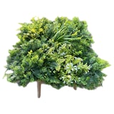 thumbnail of GecoWall "KAIRO" |Muro di felci giungla premium | Rivestimento murale gastronomia | Montaggio a parete piante artificiali |Pannelli foresta pluviale