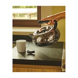 thumbnail of bulbul, roestvrijstalen ketel, alessi