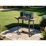 thumbnail of aro Holzkohle Grillwagen, Grillfläche 48 x 28.5 cm, Seiten- und Untenablage, fahrbar, Stahl/Holz, grün