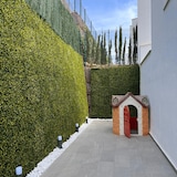 thumbnail of Bonerva | Jardín Vertical Sinica Amarillo | Pack 4 Piezas 50x50cm (1m²)| Planta artificial decoración de restaurante y oficina | MAL1208