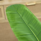 thumbnail of HOMCOM bananera artificial Ø17x120 cm planta artificial con maceta y 15 hojas planta artificial decorativa para interior verde
