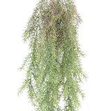 thumbnail of VERT ESPACE plante artificielle rhipsalis chute 101 cm