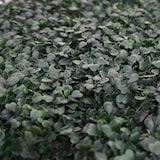 thumbnail of Wandfliese HWC-L78, Sichtschutz Windschutz Verkleidung für Terrasse/Balkon, 4x je 50x50cm = 1m² ~ Buchs grün