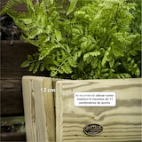 thumbnail of HORTALIA Jardinera vertical Stand Line Wall 3B en madera tratada para exterior