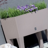 thumbnail of Prosperplast - Rechteckige hohe Pflanzgefäß-Jardiniere 30L mit Selbstbewässerung, Farbe Dunkelocker, 60 x 25 x 46 cm, mit Beinen