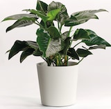 thumbnail of EURO3PLAST Blumentopf Fyre Ø 40 cm weiß