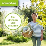 thumbnail of Protect Garden Lizetan Zierpflanzen & Rosenspray  AF 500 ml