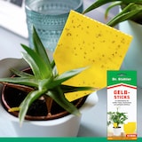 thumbnail of Effektive Gelbsticks zur Bekämpfung fliegender Insekten wie die weiße Fliege, Trauermücke & Blattlaus: 120 Stück
