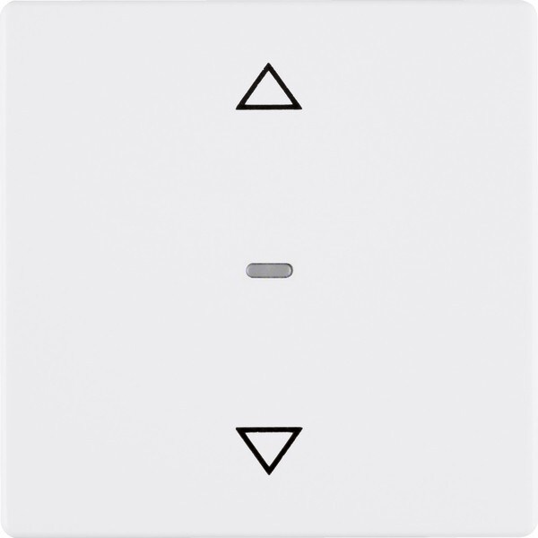 Berker Jalousie-Taste 85241129