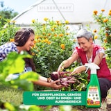 thumbnail of Schädlingsfrei-Spray für eine geschützte Pflanzenumgebung ohne Milben und Blattläuse: 4 x 500 ml