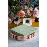 thumbnail of Duni Bio Tissue-Serviette 33 x 33 cm Pistaziengrün 3-lagig, 500 Stk/Krt (10 x 50 Stk)