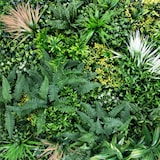 thumbnail of Rolo Jardim Vertical Sauvage 100 X 100 Cm