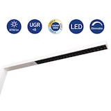 thumbnail of LED-Standleuchte Maulsirius  Beweg.- Lichtsensor col. var. weiß
