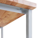 thumbnail of PROREGAL Werkbank Rhino mit Einzelschublade | HxBxT 84x120x60cm | Traglast 300kg | Lichtgrau/Lichtblau