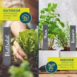 thumbnail of Hoberg Schiefer-Pflanzschilder 10er Set - Gartenschilder für Pflanzen & Kräuter