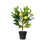 thumbnail of Künstlicher Zitronenbaum 43cm im Topf Kunstpflanze Zitronenbäumchen Topfpflanze Zitrone Frühlingsdeko Osterdeko Sommerdeko Zitruspflanze Gelb Grün