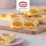 thumbnail of Dr. Oetker Teglia rettangolare con coperchio per il trasporto 42 x 29cm Linea Bake&Go