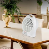 thumbnail of WellHome - Ventilador Calefactor Multiusos con Control de Temperatura