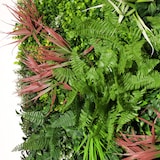 thumbnail of Jardim vertical artificial Tropical | Naturing Monde - 1x1M - Para interior e exterior  - Material 100% HDPE de alta qualidade