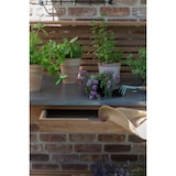 thumbnail of Teakholz - bene living - Pflanztisch Hampton