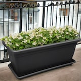 thumbnail of Macetero rectangular de plástico de 80 cm para plantas y flores con jardinera de exterior antracita, resistente a los rayos UV, fabricado en Italia.