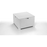 thumbnail of Traje de resina blanca Nebrasca 2