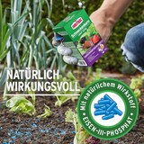 thumbnail of Substral Schneckenkorn Limex Ultra 2 x 500g / 2 x 500qm