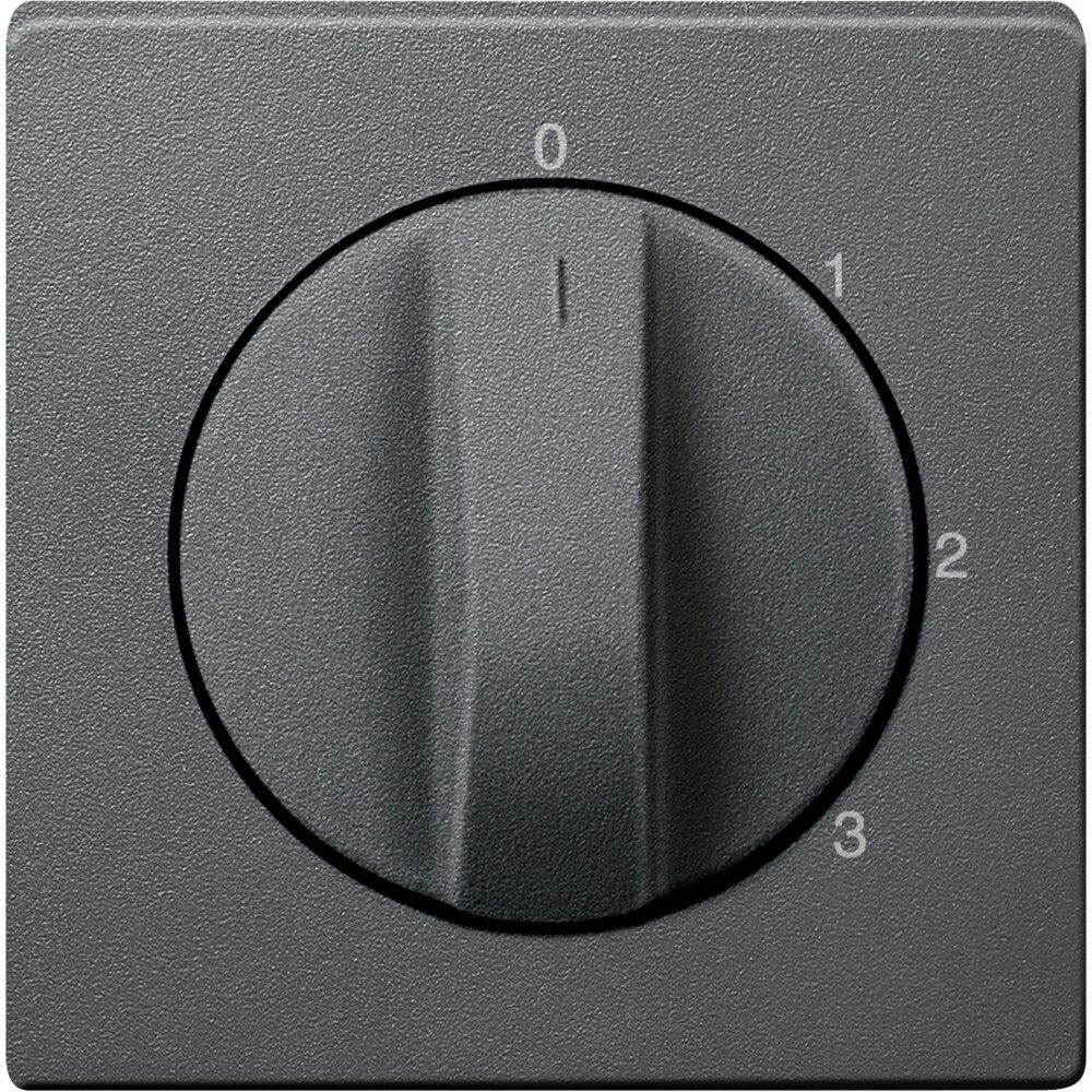 Merten Zentralplatte anthrazit 437314