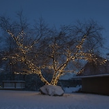 thumbnail of System 24 LED Systemlichterkette 10m koppelbar bis 1500 LED mit Trafo