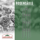 thumbnail of Rosensäule- Rankhilfe 200x40cm
