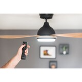 thumbnail of Energiespar Deckenventilator Bayu 122 cm mit LED 122