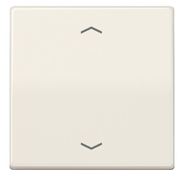 Jung Wippe Symbole ws AS 591 P AS591P