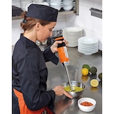 thumbnail of Mixeur plongeant professionnel DMX 160 V2 - Dynamic