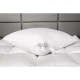 thumbnail of HS17 Kopfkissen 3 Kammer Daunen Feder Kissen Daunenkissen 80x80 cm 1600 g