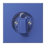 thumbnail of Jung Abdeckung für Drehschalter LC 1941 206 LC1941206