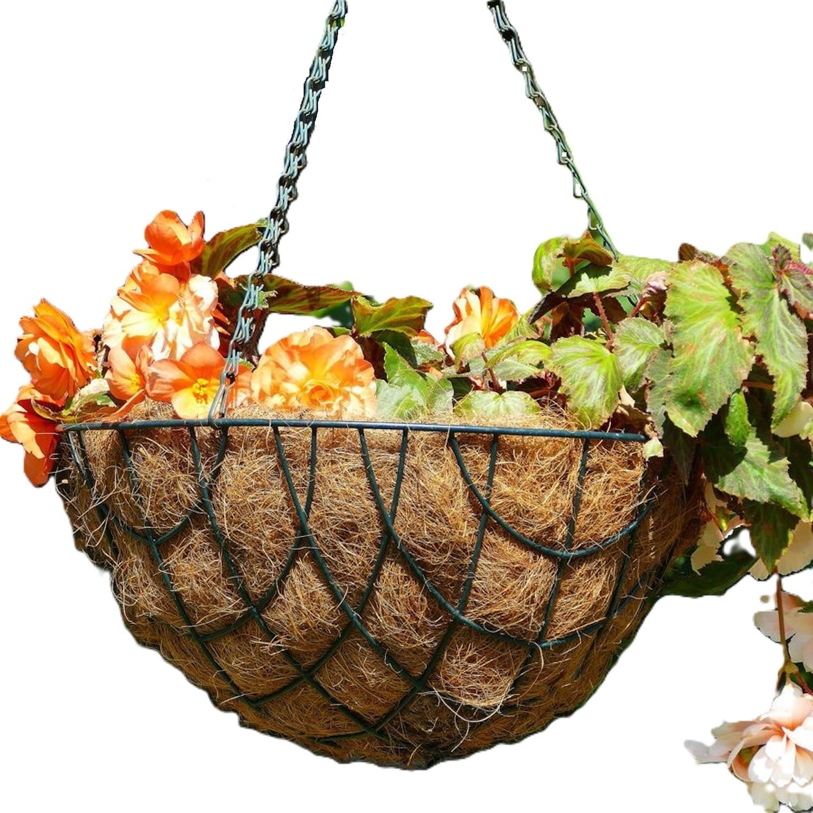 Pflanzeinlage für Pflanzkörbe und Blumenampeln 40cm Kokos-Einleger Kokosfaser 40