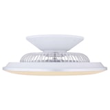 thumbnail of Deckenventilator Kello 58 cm mit LED und Fernbedienung 58