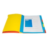 thumbnail of Exacompta - Réf. 5307E - Carton de 8 trieurs HARMONIKA - avec élastiques et fenêtres découpées   - 7 compartiments - pour A4 - couleurs assorties