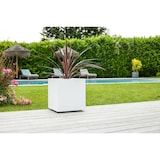 thumbnail of Pot carre GRAPHIT blanc ceruse 57L POETIC