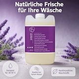 thumbnail of SONETT Waschmittel flüssig Lavendel 20 Liter
