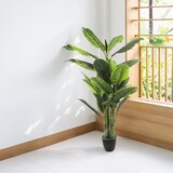 thumbnail of WellHome - Planta de Plátano Artificial 170cm