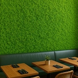 thumbnail of WellHome – Giardino verticale artificiale – Pannello siepe 100x100 cm per interni ed esterni – Verde
