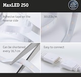 thumbnail of Paulmann MaxLED 250 LED Strip Smart Home Zigbee 3.0 Basisset Basisset 1,5m Tunable White beschichtet 6W 270lm/m Tunable White 24VA 78868