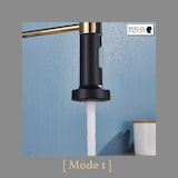 thumbnail of Bernd | Rubinetto Flessibile Catering Black Gold |da cucina in acciaio inossidabile|miscelatore può essere ruotato  360 gradi Alta pressione 2 porte