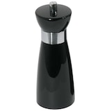 thumbnail of Zout en Pepermolen