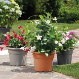thumbnail of ArtPlast - Zylindrischer Blumentopf 14L Ø35x26 cm in Farbe Grau - CILINDRO-Kollektion