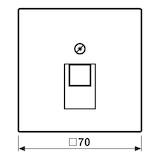 thumbnail of Jung Abdeckung für IAE/UAE LC 969-1 UA 234 LC969-1UA234
